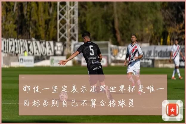 邵佳一坚定表示进军世界杯是唯一目标否则自己不算合格球员