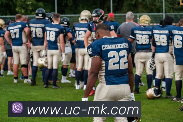 MK体育平台生态图